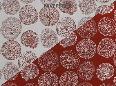 I Need A Dollar 343 Lobster Red COTTON  Blend Fire Rated Fabric Sea Shell  Beach  Fabric